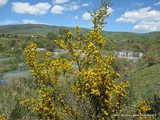 Numero visite mese Maggio: 55