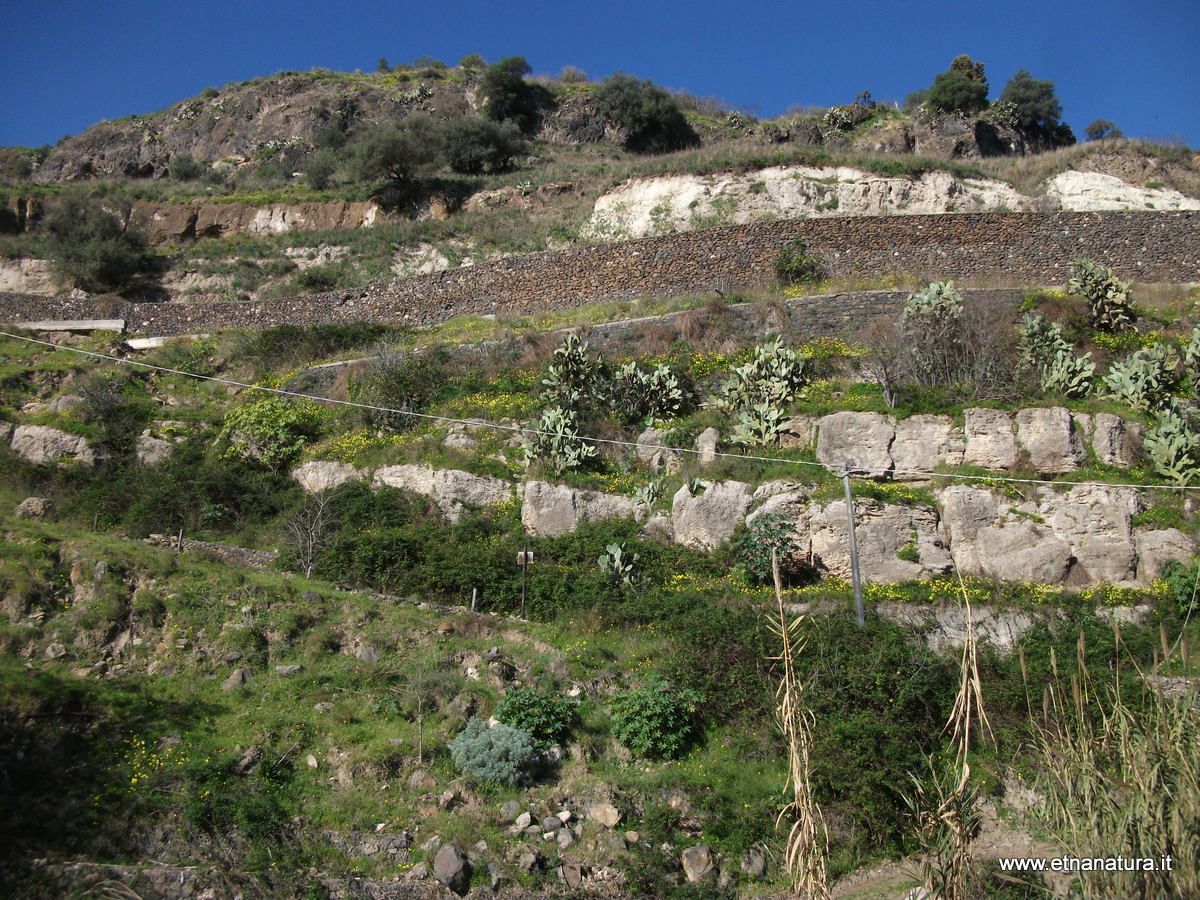 Valle del Loddiero-Numero visite:8374