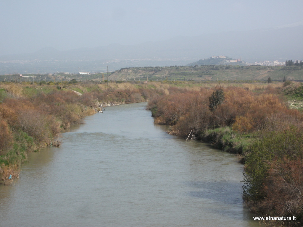 Valle del Simeto-Numero visite:35145