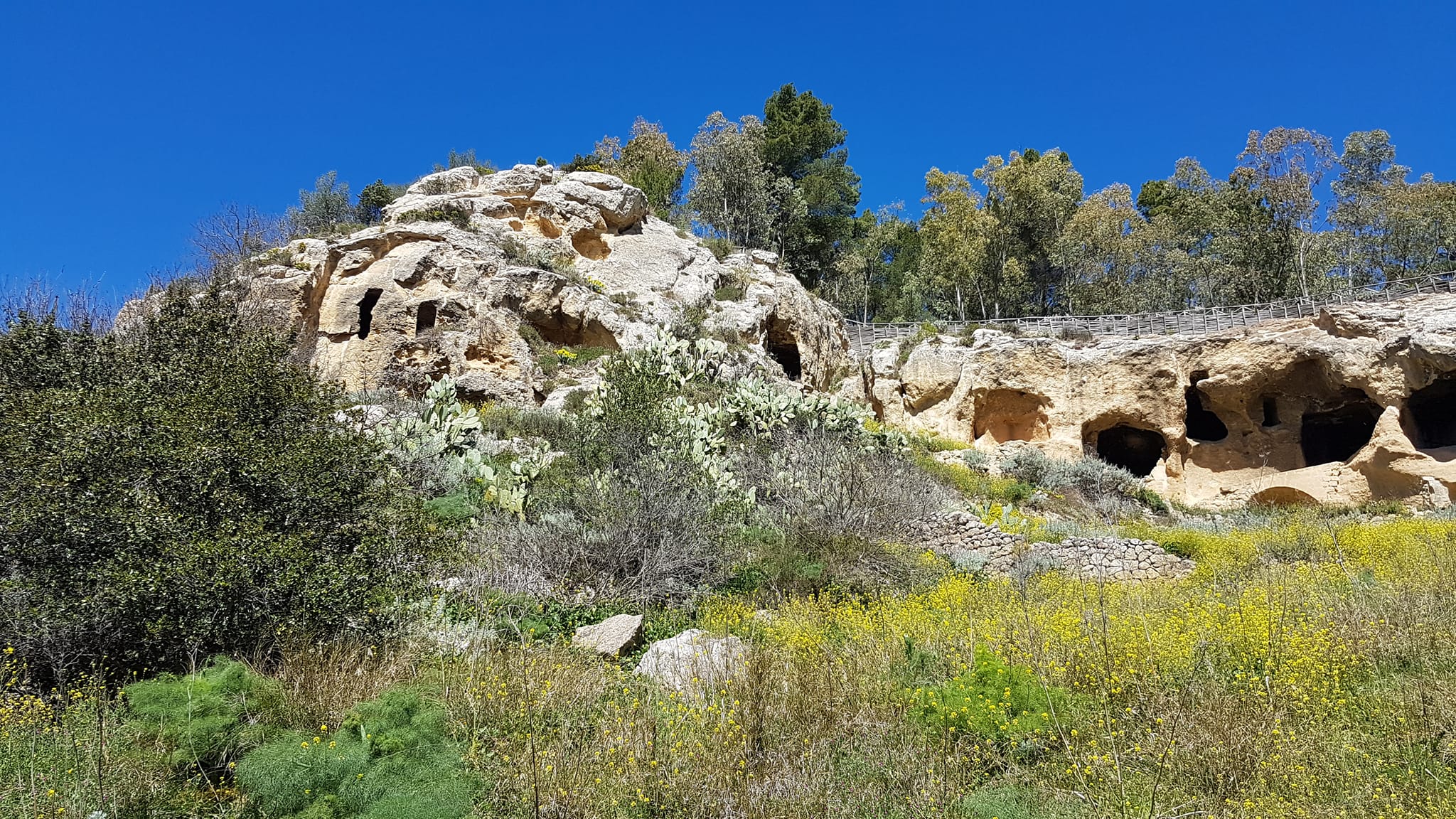 Vallone Canalotto-Numero visite:809