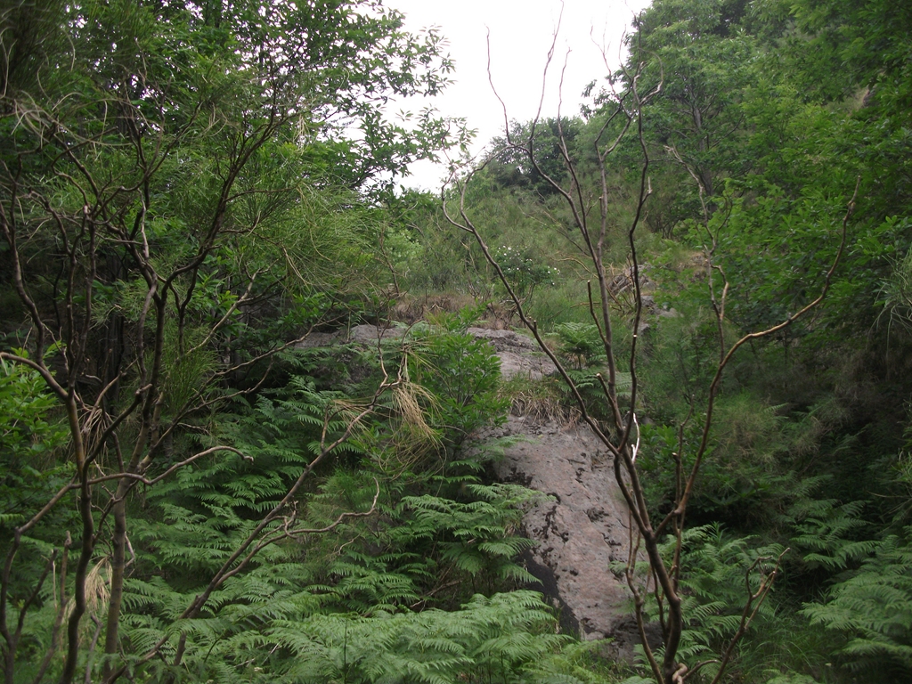 Vallone del Turco-Numero visite:29048