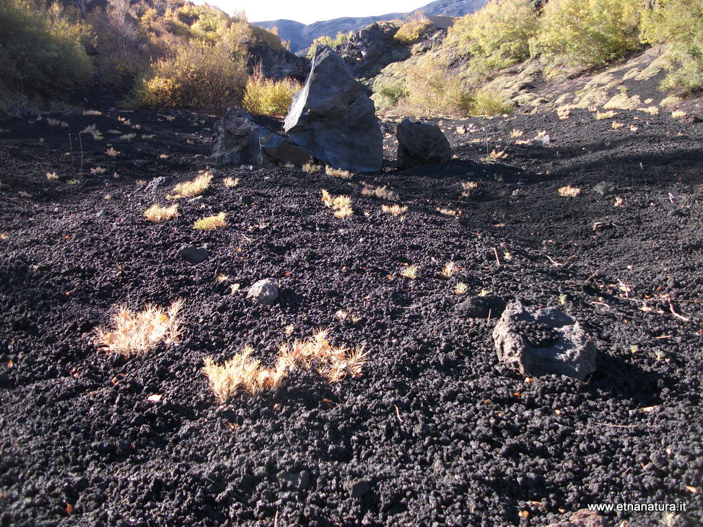 Vallone monte Zappinazzo