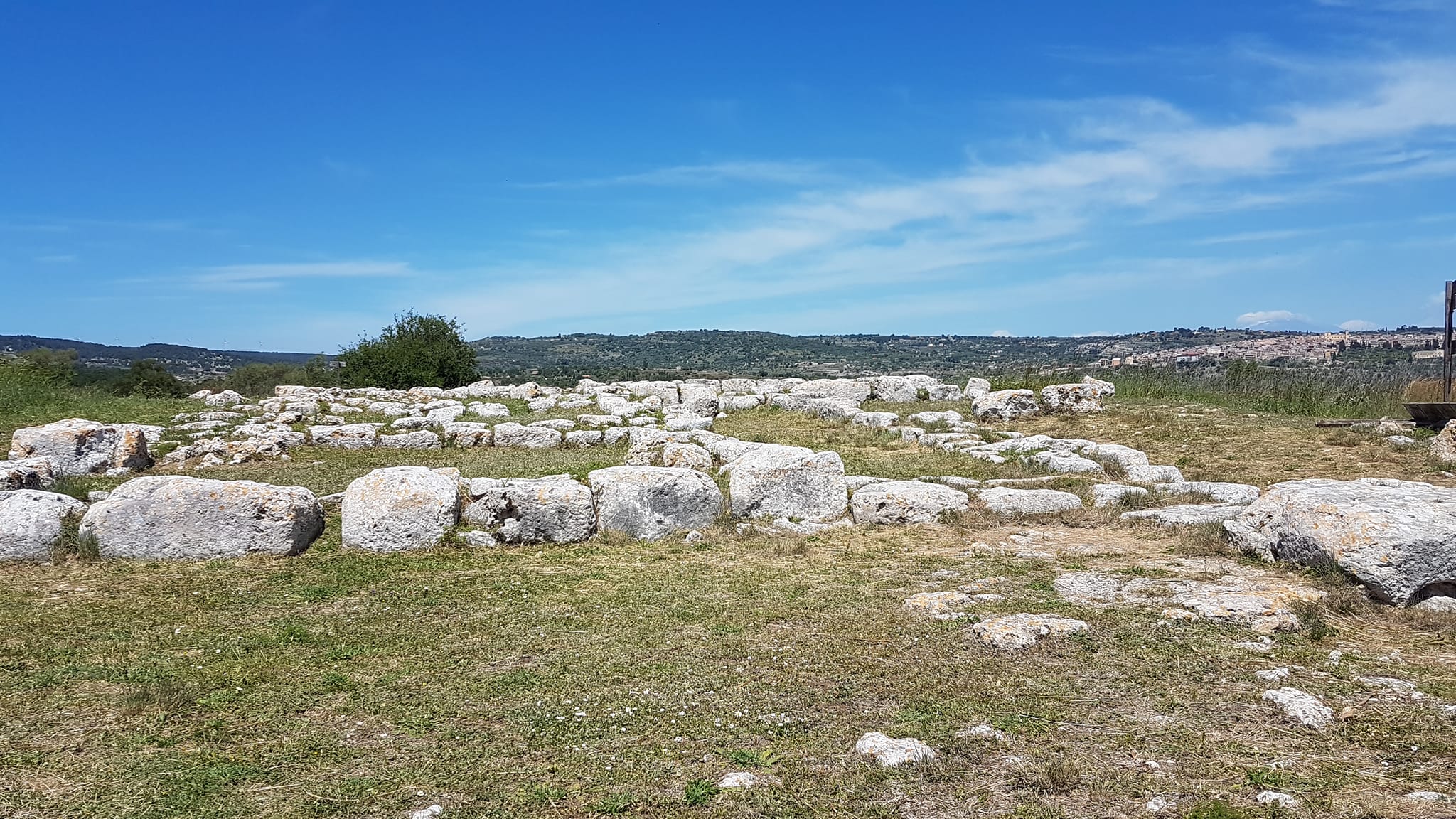 Sortino