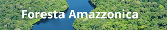 Foresta Amazzonica