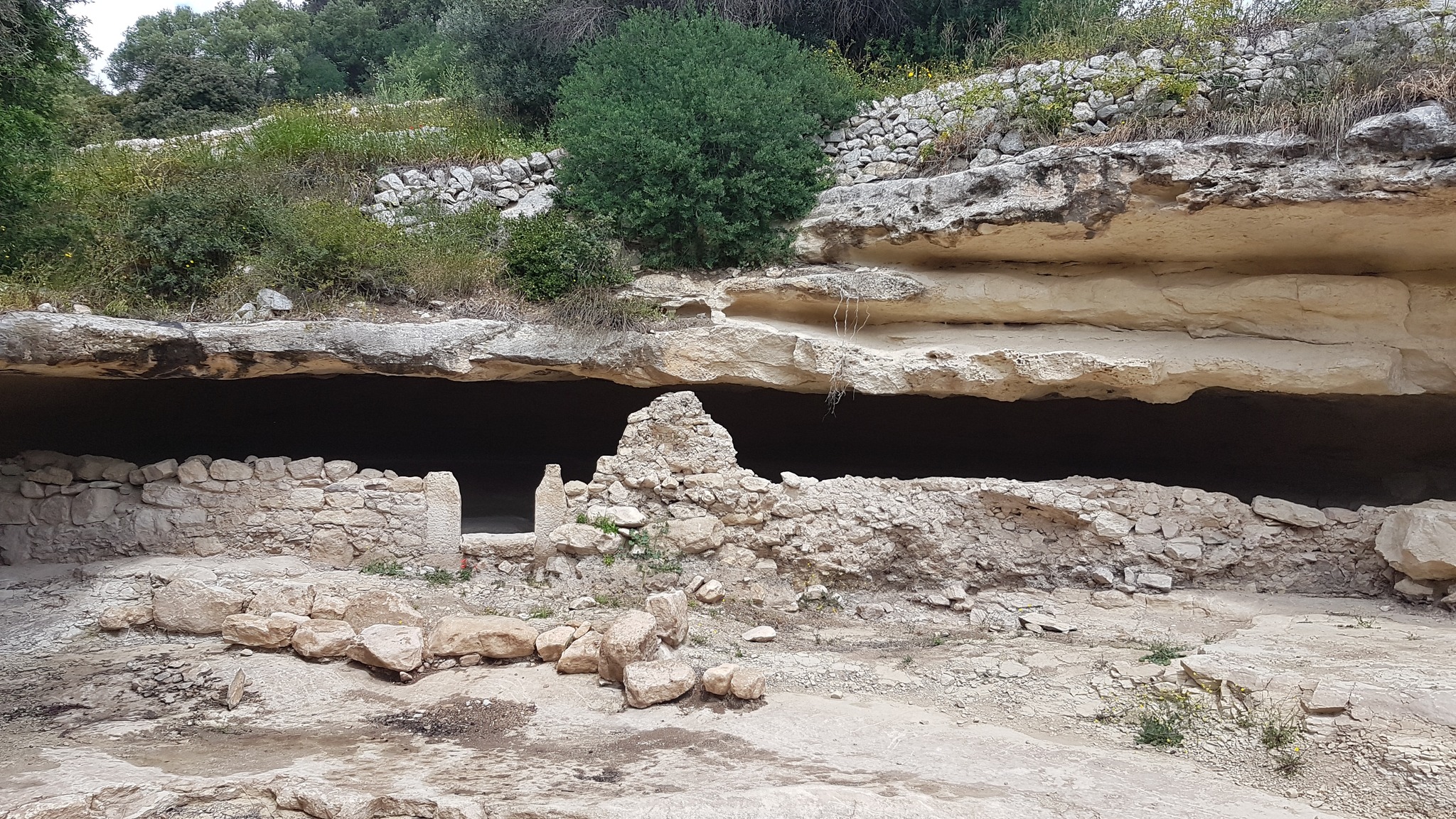 Paleolitico e Mesolitico