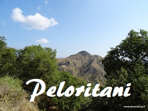 Peloritani