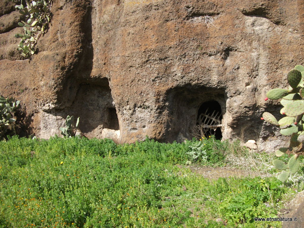 Siculi
