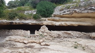 Paleolitico e mesolitico Paleolitico e mesolitico