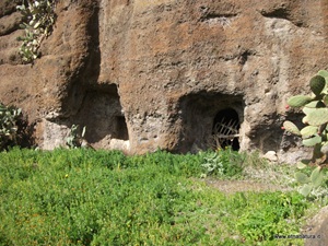 Siculi Siculi
