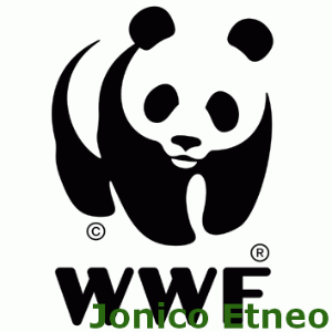 wwf jonico etneo