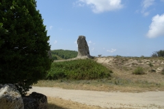 30-07-2018 13-07-55