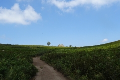30-07-2018 13-11-09