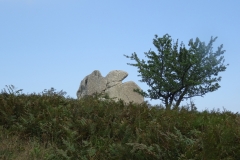 30-07-2018 13-15-28