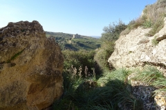 27-01-2018 11-10-35