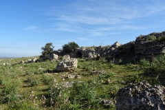 27-01-2018 11-39-03