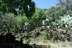 07-05-2017 10-37-018
