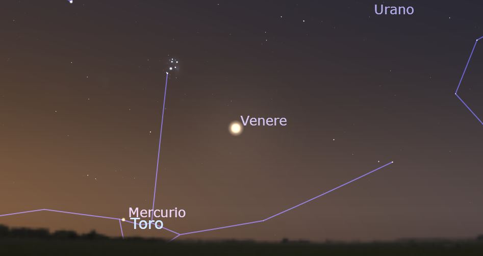 1_Venere-Pleiadi