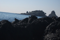 20110311 007