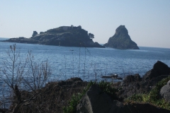 20110311 017