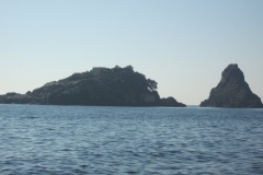 20110311 022