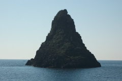20110311 032 (1)