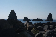20110311 041