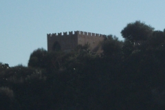 20110311 044