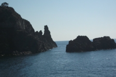 20110311 045