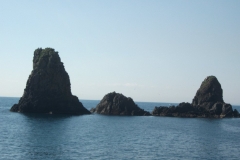 20110311 049 (1)