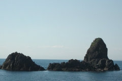 20110317 001