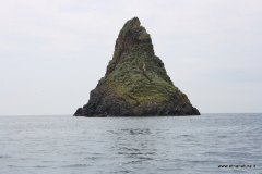 20110511_9830