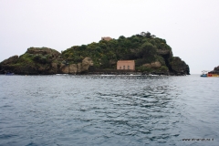 20110511_9831