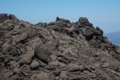 16-06-2013 12-54-14