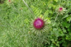 19-05-2018-10-38-35