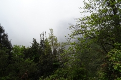 19-05-2018-10-39-24