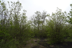 19-05-2018-10-46-10