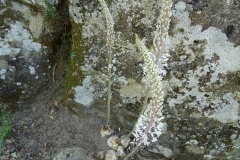 27-08-2018 10-38-24