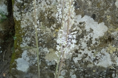 27-08-2018 10-38-30