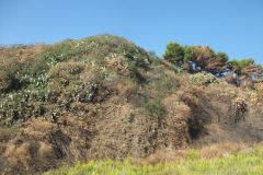 07-10-2012-08-25-38