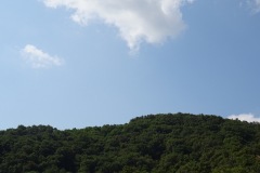 24-08-2019-10-33-20