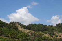 24-08-2019-10-33-23