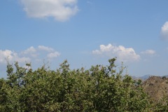 24-08-2019-10-33-38