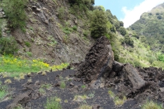 19-05-2018-12-08-44