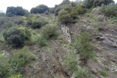 19-05-2018-12-09-02
