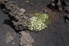 19-05-2018-12-18-44