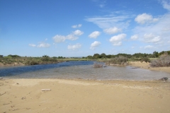 26-03-2018 21-13-59
