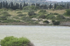 26-03-2018 21-16-19