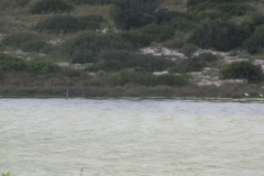 26-03-2018 21-16-23