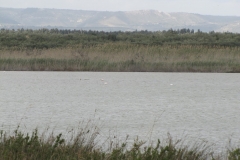 26-03-2018 21-16-48