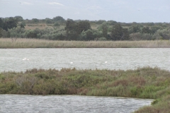 26-03-2018 21-16-56